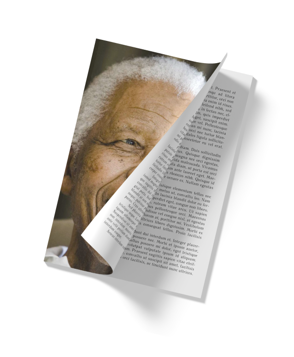 eBook Mandela