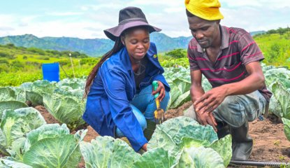 Tuinieren bij Thanda